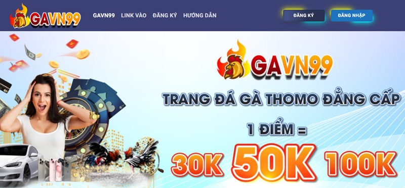 GAVN99 là nhà cái đá gà uy tín hàng đầu Việt Nam